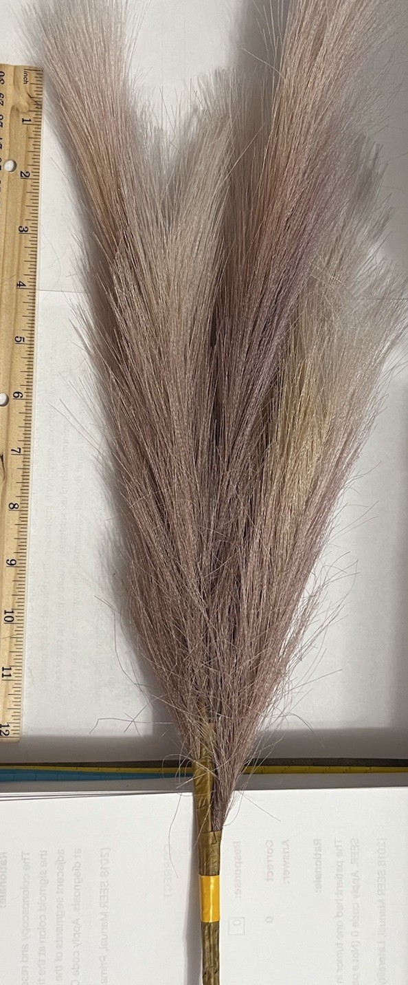 Ansemble of Faux Pampus Grass Bohemian Style Floral Arrangements about 5 Sprigs