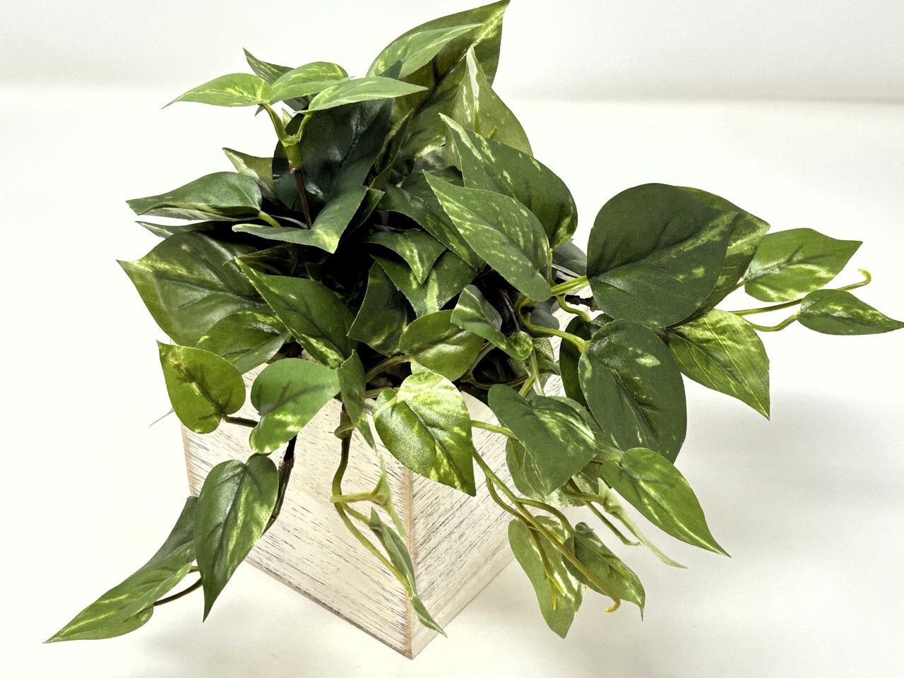 8″ Potted faux Green-White Variegated Pothos Vine Silk plant in White wood box,