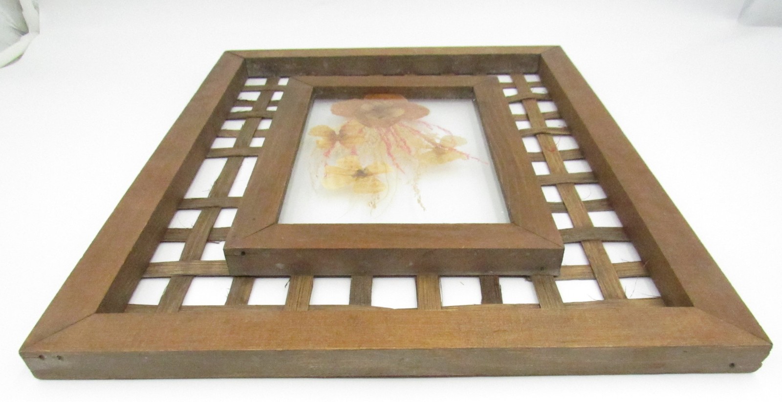 Vintage Don Gray 1976 Dried Floral Glass Pressed Art Wall Hanging Wood Frame