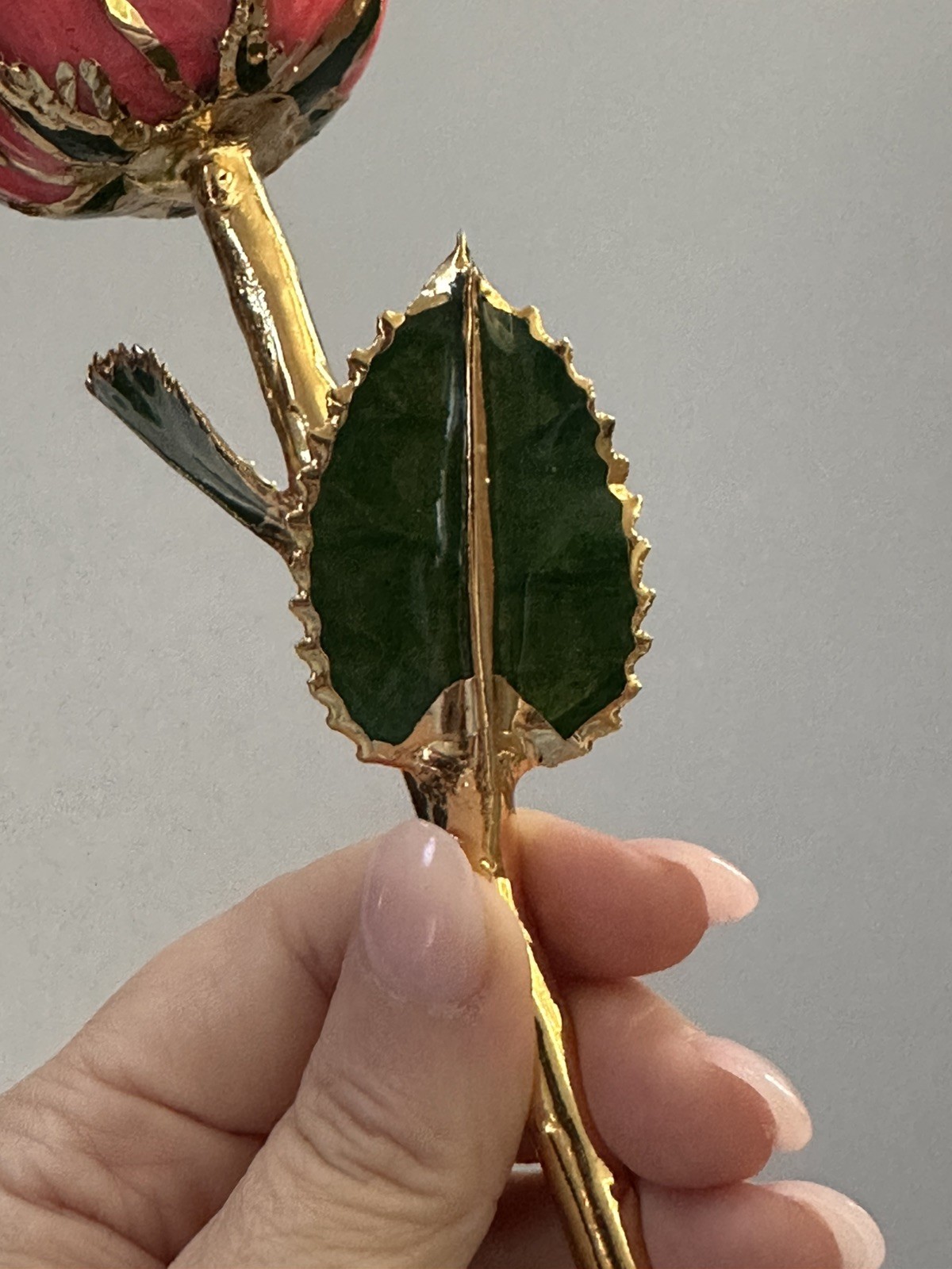 Steven Singer Jewelers – Real Rose – Preserved in 24k Gold – Pink