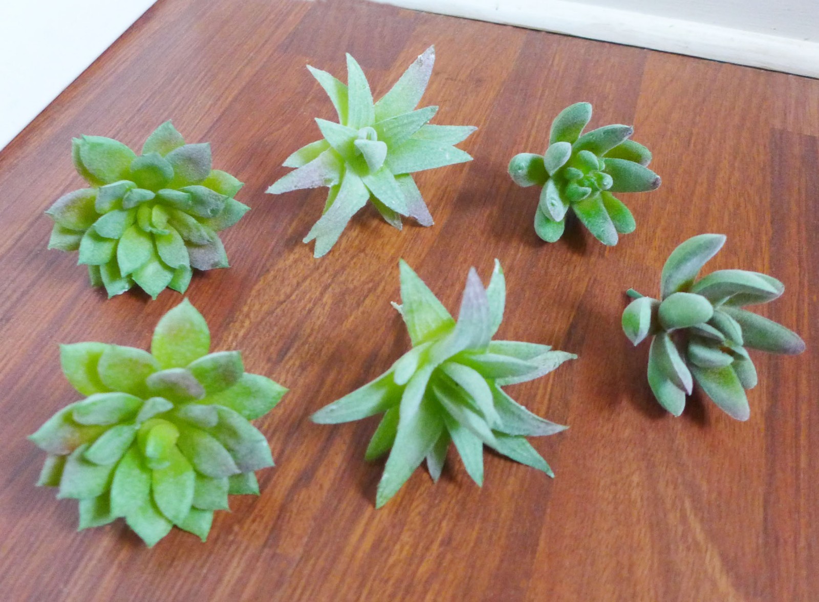 Set of 6 Artificial Mini Succulents 3 Shape Green Grass