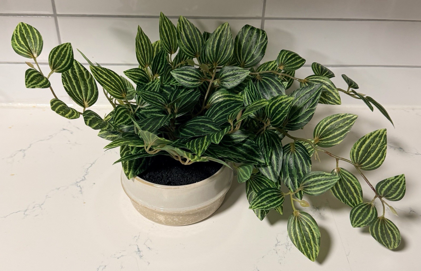 NEW! Ceramic Potted Faux Artificial Plant 6” H 15” L. Office Or Home Plant