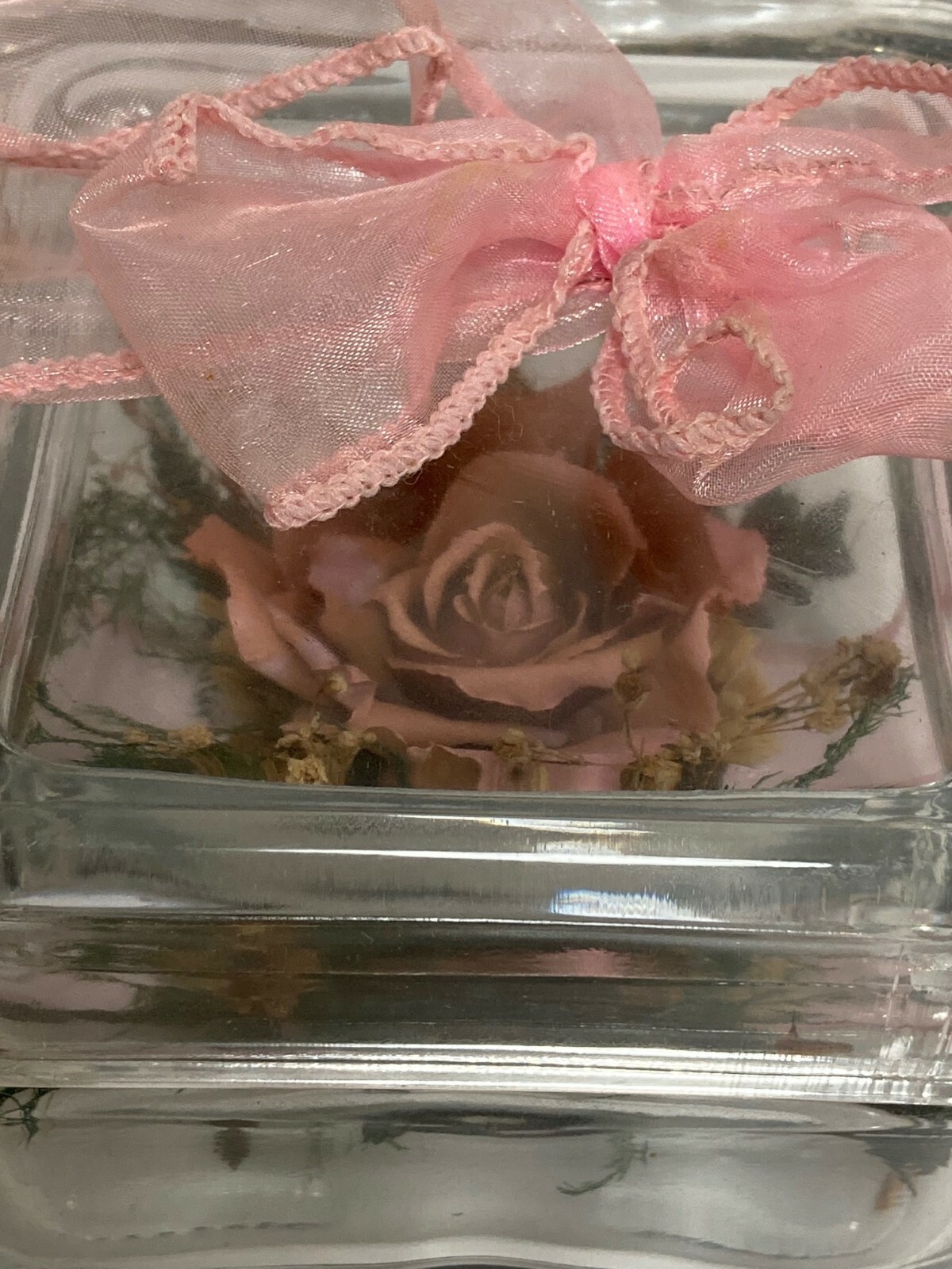 Vintage Natural Expressions. Real Freeze Dried Rose. Glass Floral Keepsake.