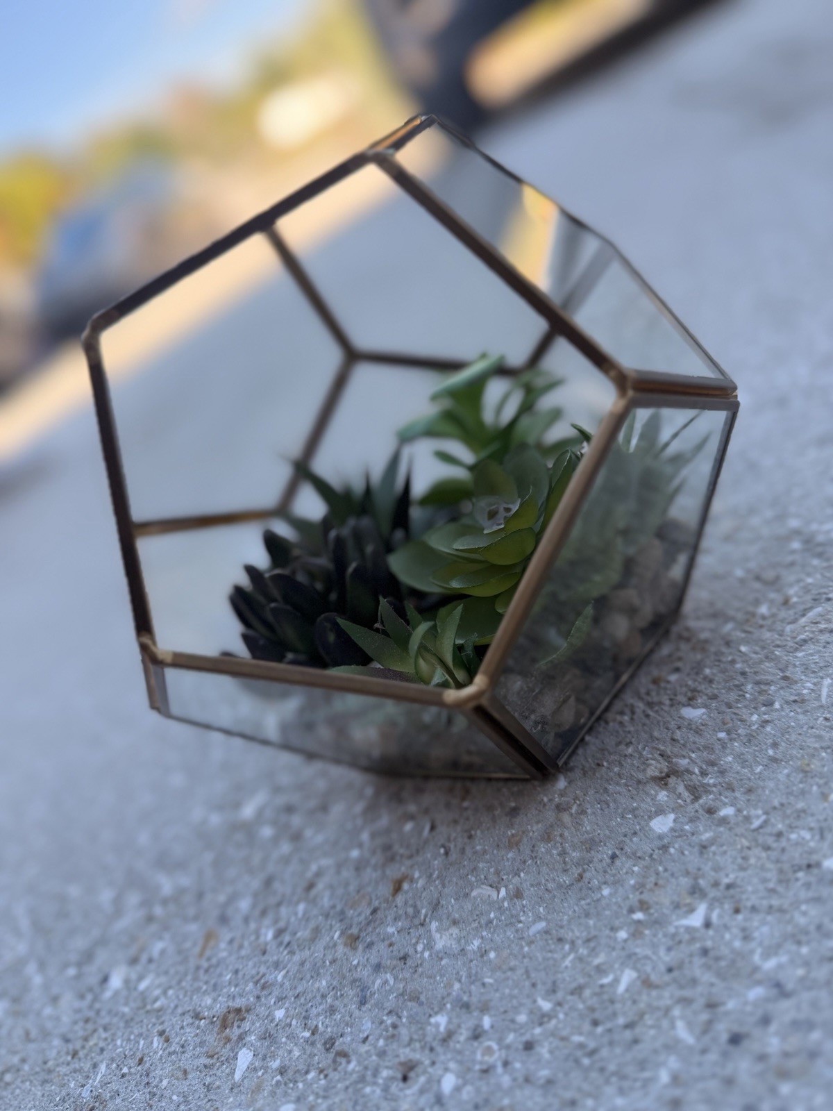 Geometric Glass Terrarium Decor with Faux Succulents & Gold Metal Frame