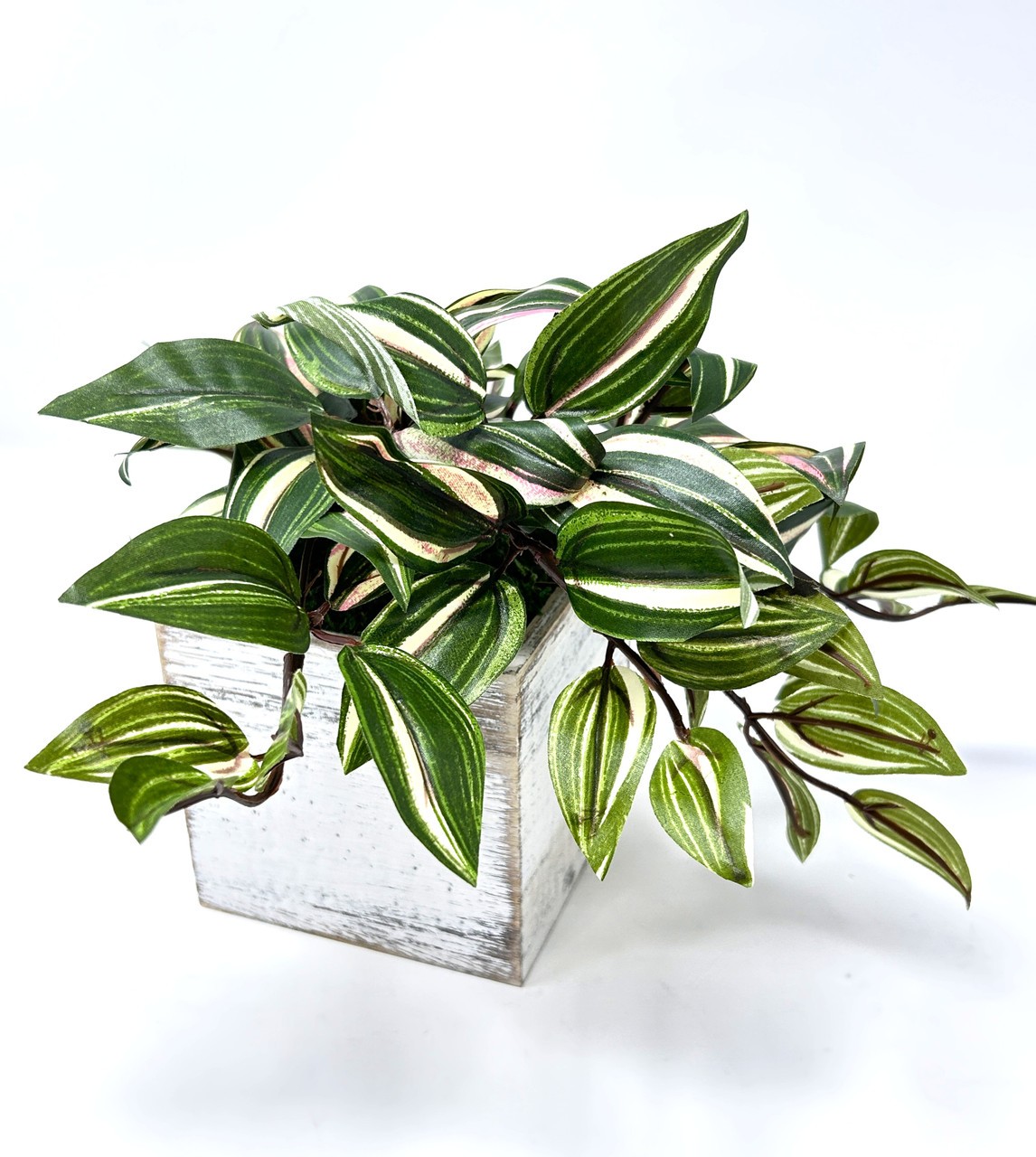 8″ Potted faux silk Green-Pink-White Jew TRADESCANTIA Vine INCH plant in White w