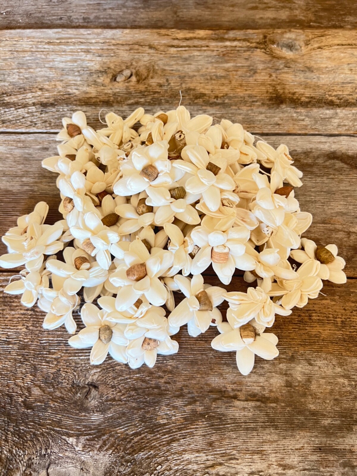 Mini Bark Daisy Sola Wood Flowers – Set of 50 – Craft Flowers