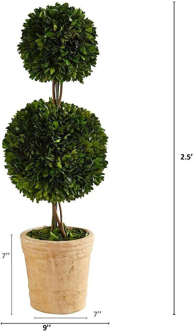 2.5Ft Double Ball Boxwood Topiary Tree in Stylish Decorative Planter