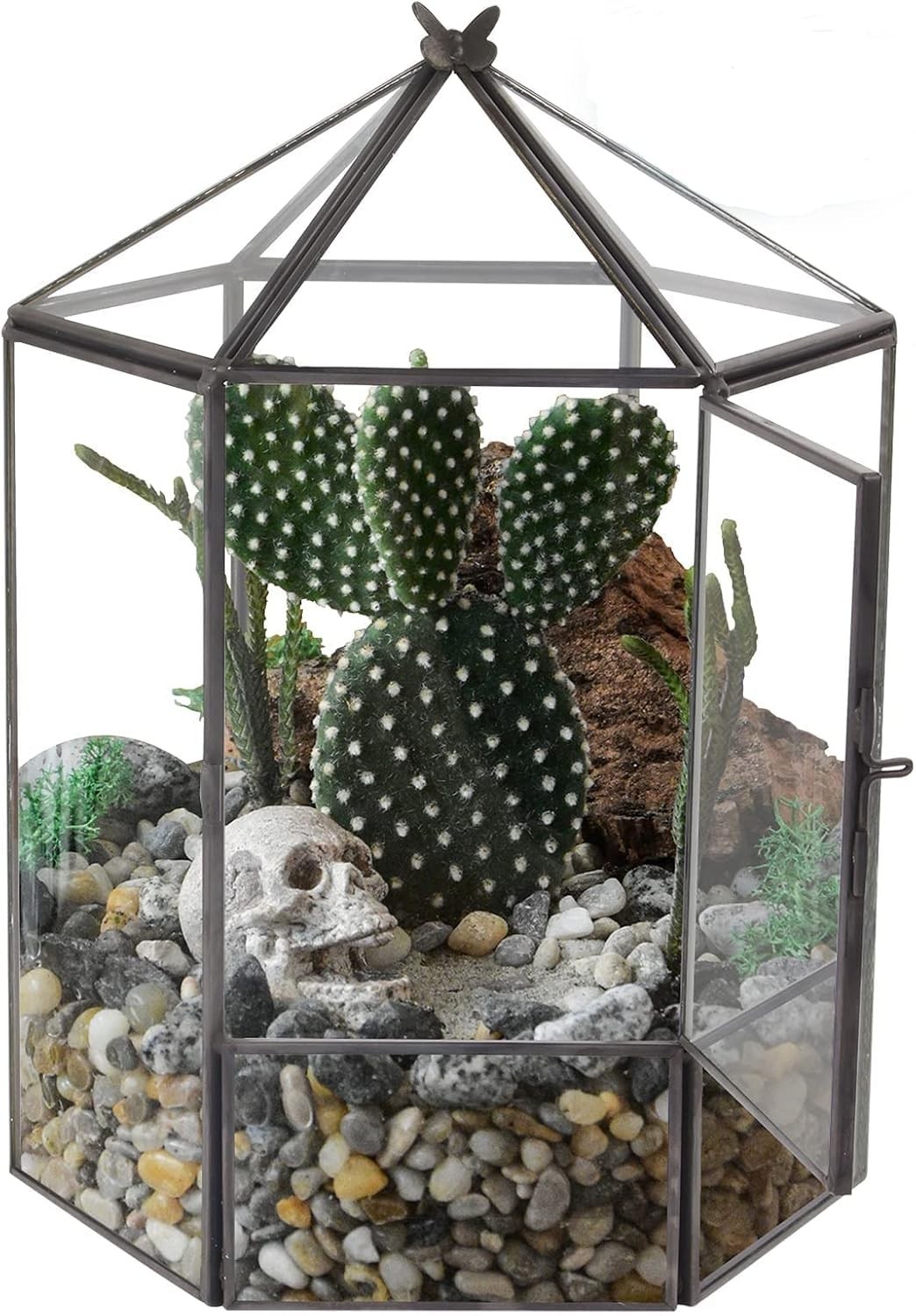 Hexagonal Black Plant Terrarium Kit