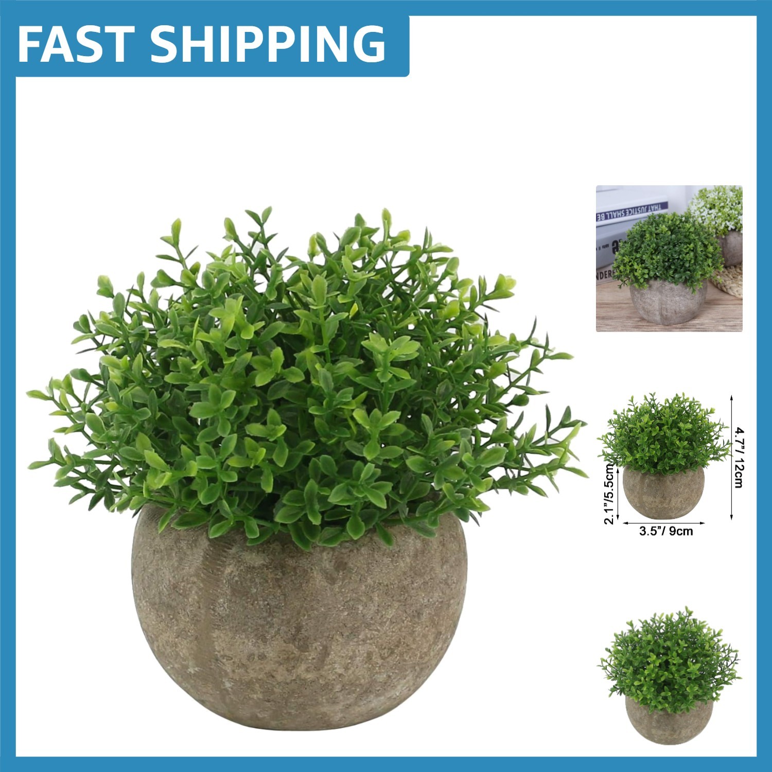 Elegant Mini Faux Plants in Ceramic Pots – Perfect for Home & Office Decor