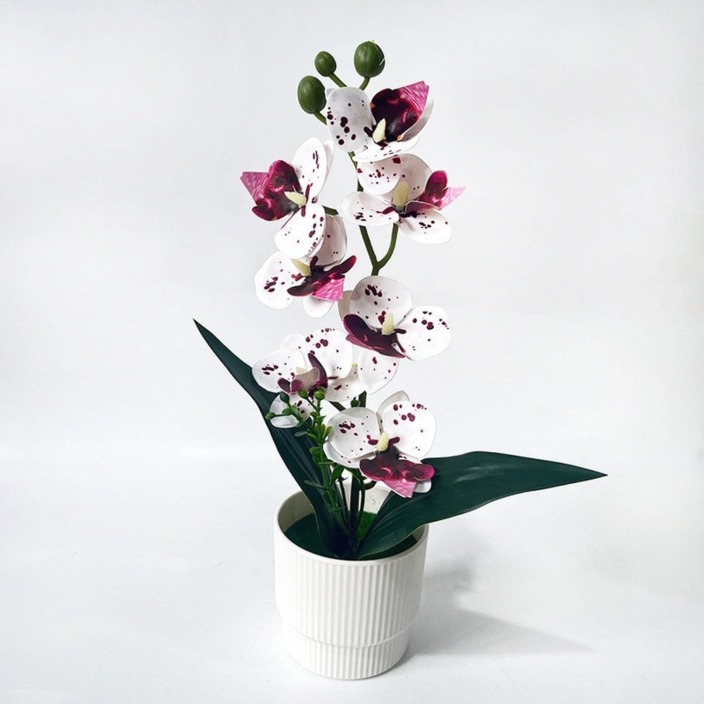 Artificial Butterfly Orchid in Pot 31cm Tall for Home Office Indoor Shelf Decor