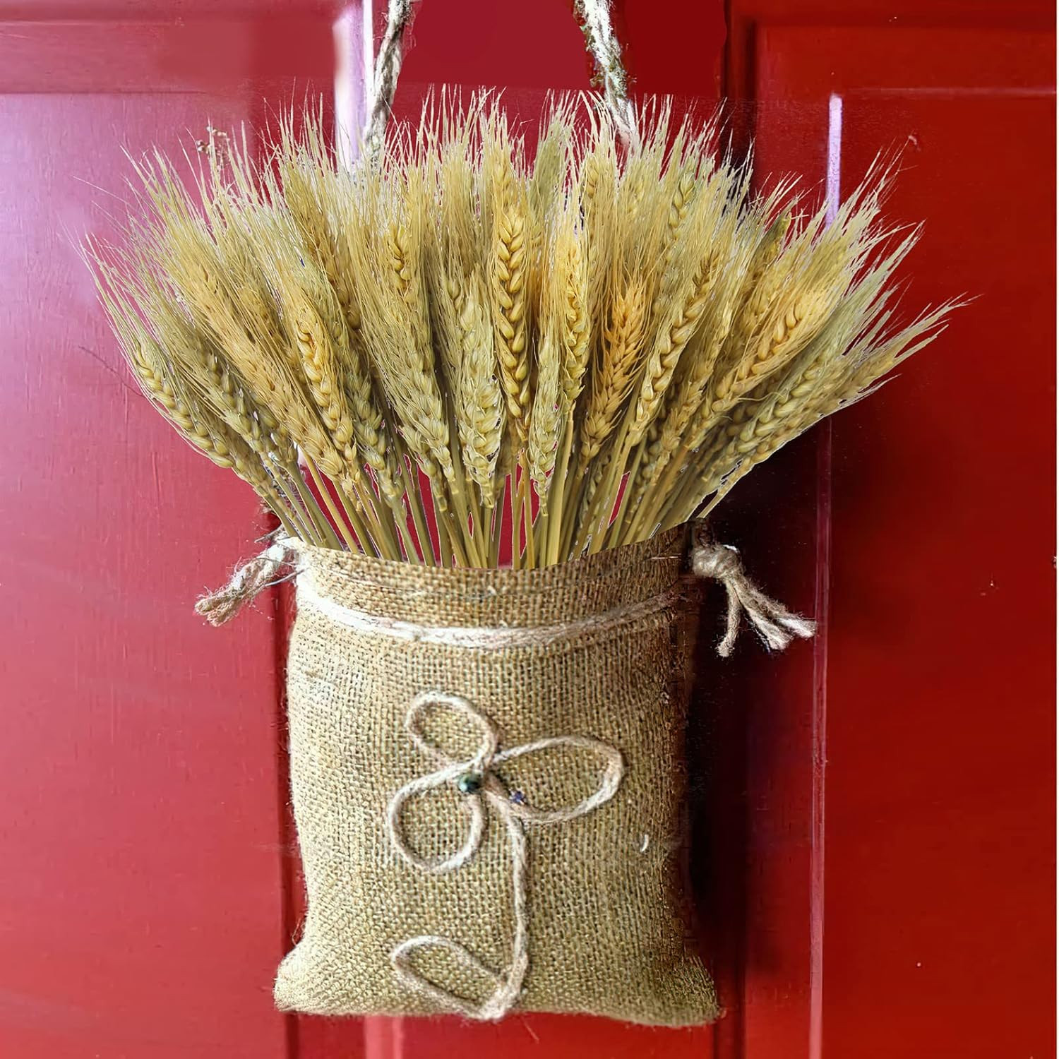 100 Pcs Dried Wheat Stalks Bundle Grass Natural Dried Wheat Sheaves Stems Dried