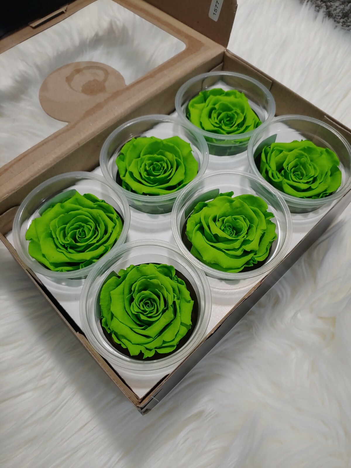 Preserved Roses – Eternity Rose – Mothers Day – Lime Green – 6 Pack