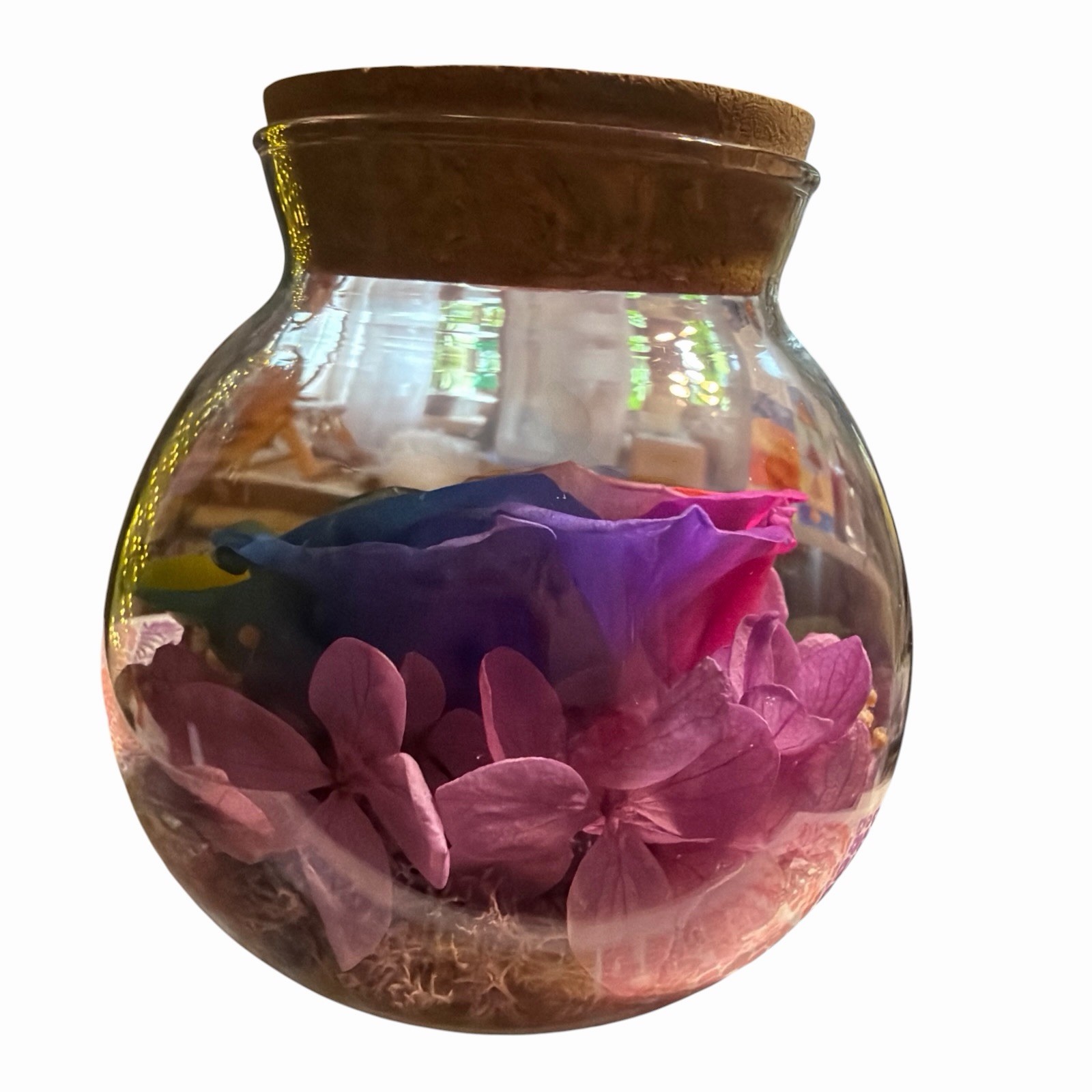 Real Preserved Rose Globe Eternal Rose Multicolor With Light Forever Flowers