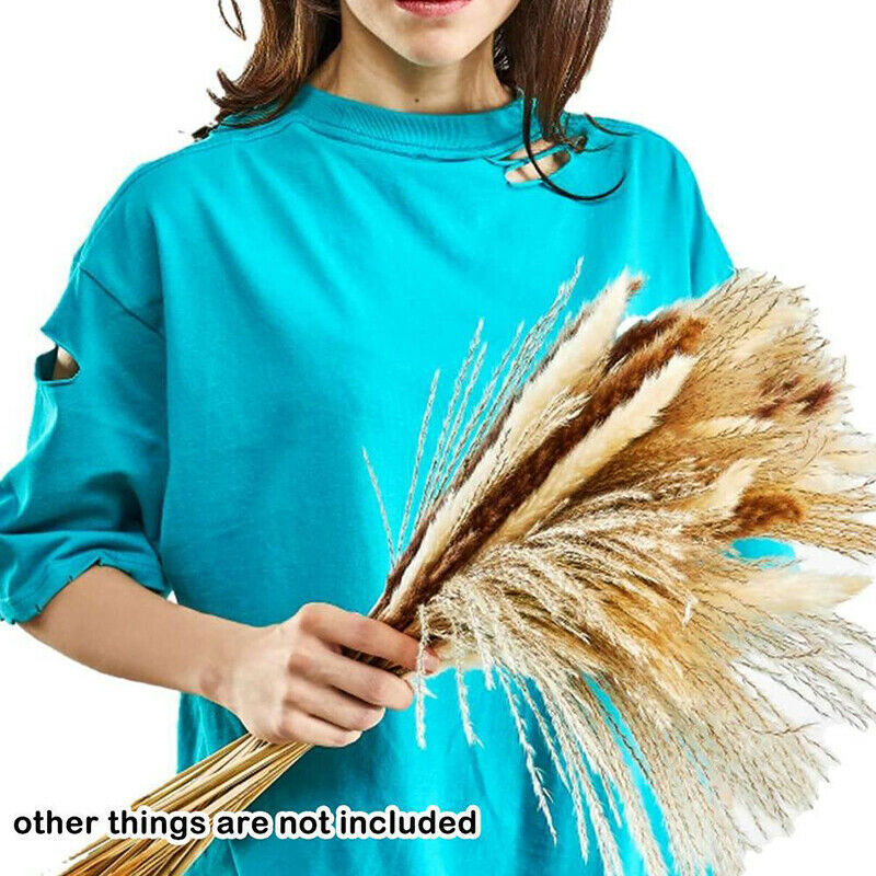 Natural Dried Plants Flower Bouquet Pampas Grass Reeds for DIY Boho Decor Home