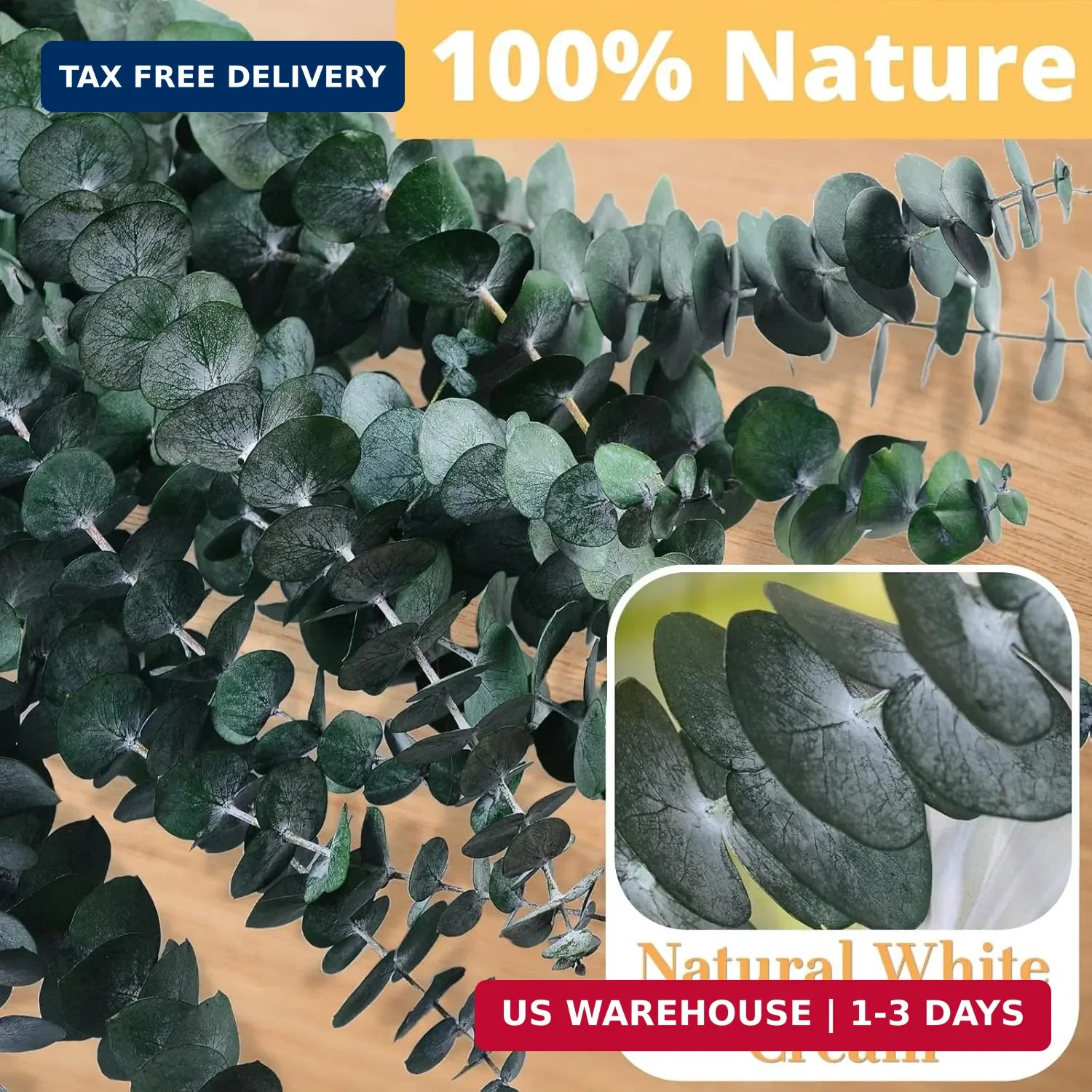 12PCS Dried Eucalyptus for Shower Hanging – 17” Real Large Preserved Eucalyptus