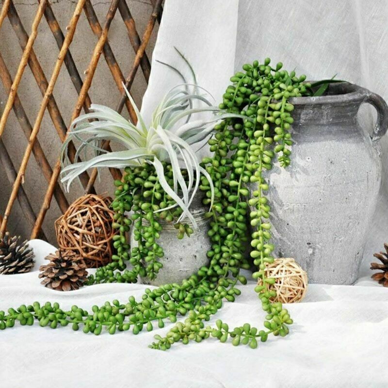 2Pcs 24″ Artificial Succulent Plant Green Vines Flower Hanging Rattan Wall Decor