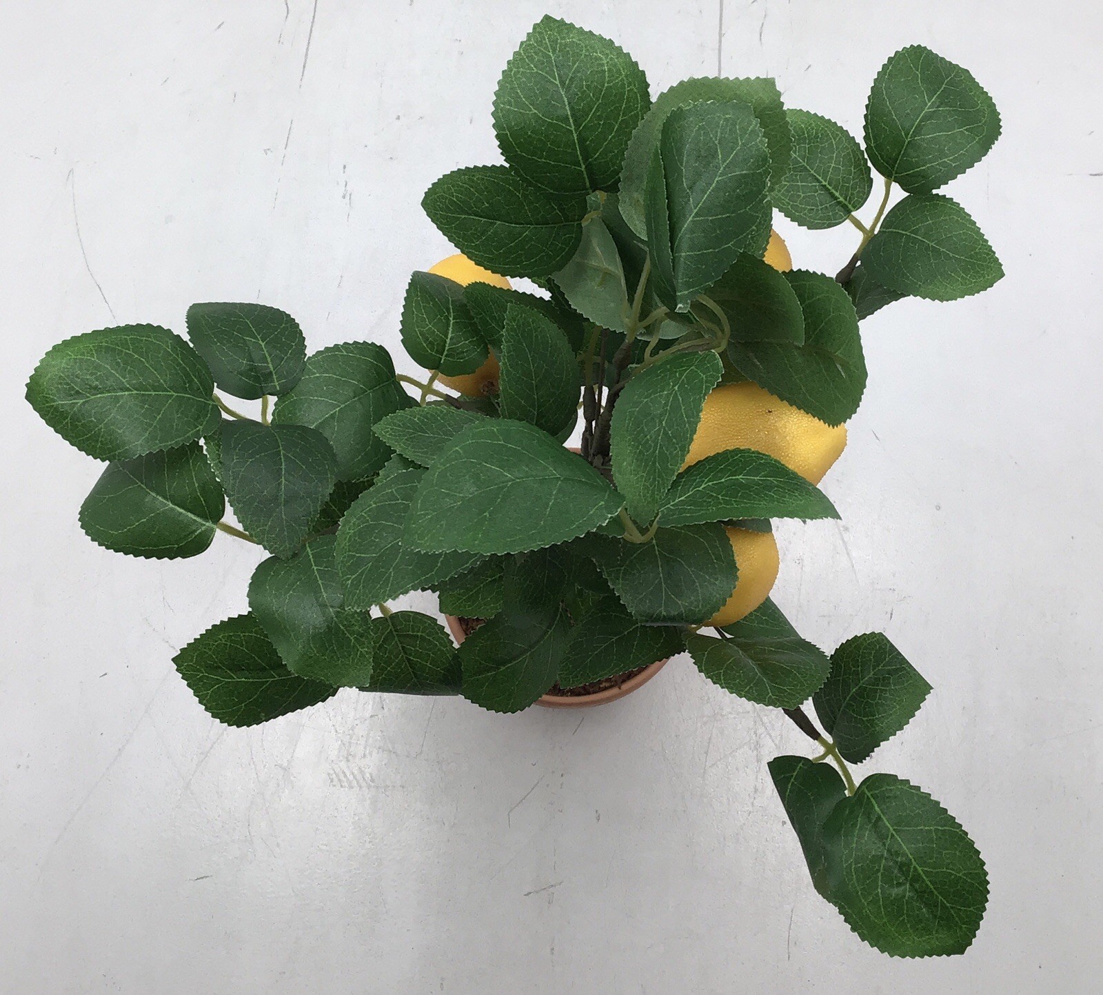 Transpac Faux Lemon Tree in Terracotta Pot Tabletop Plant 20 Inches Tall