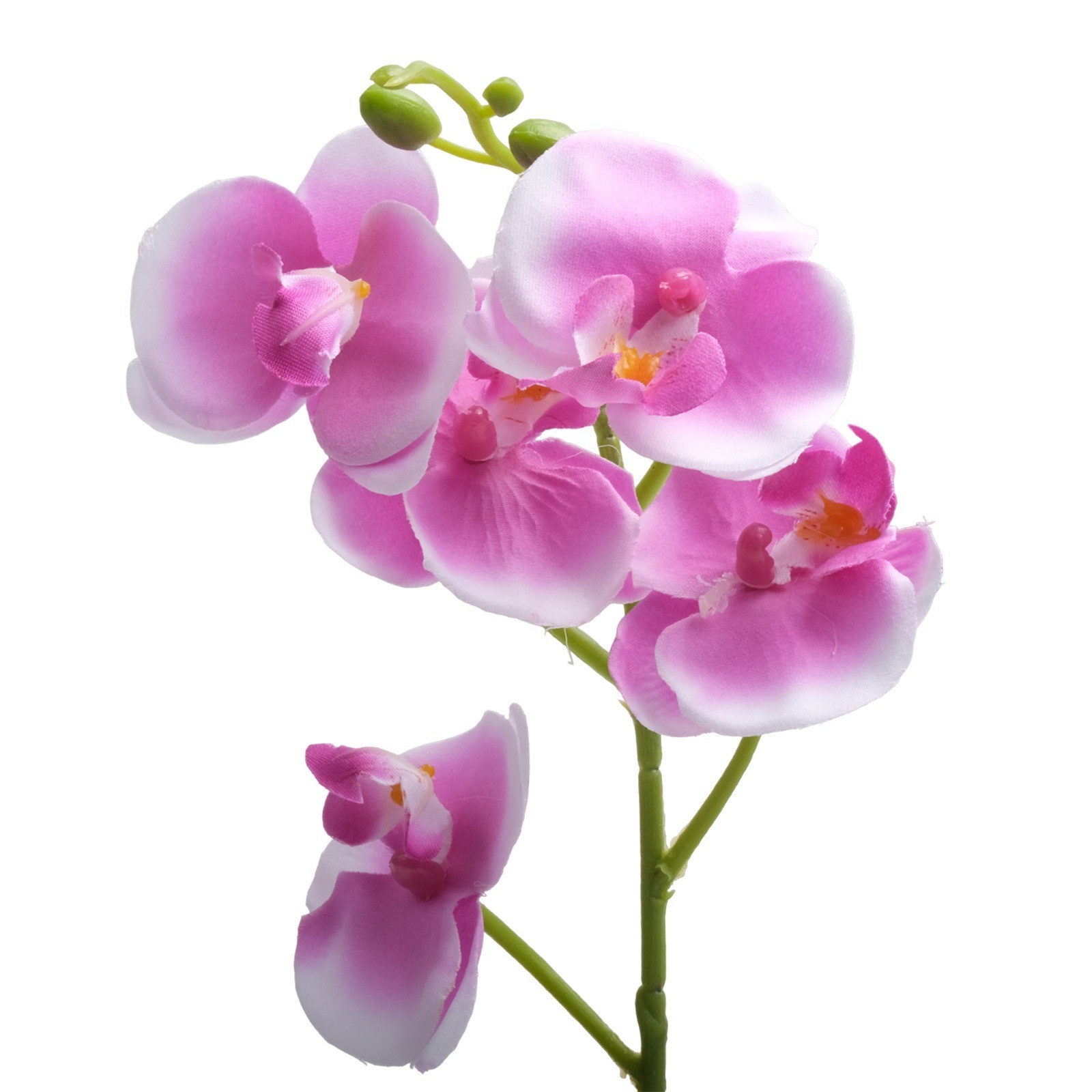 Beautiful Simulated Potted Plant Suitable for both Indoor and Outdoor Use