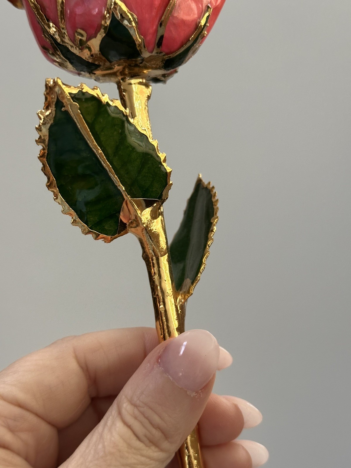 Steven Singer Jewelers – Real Rose – Preserved in 24k Gold – Pink