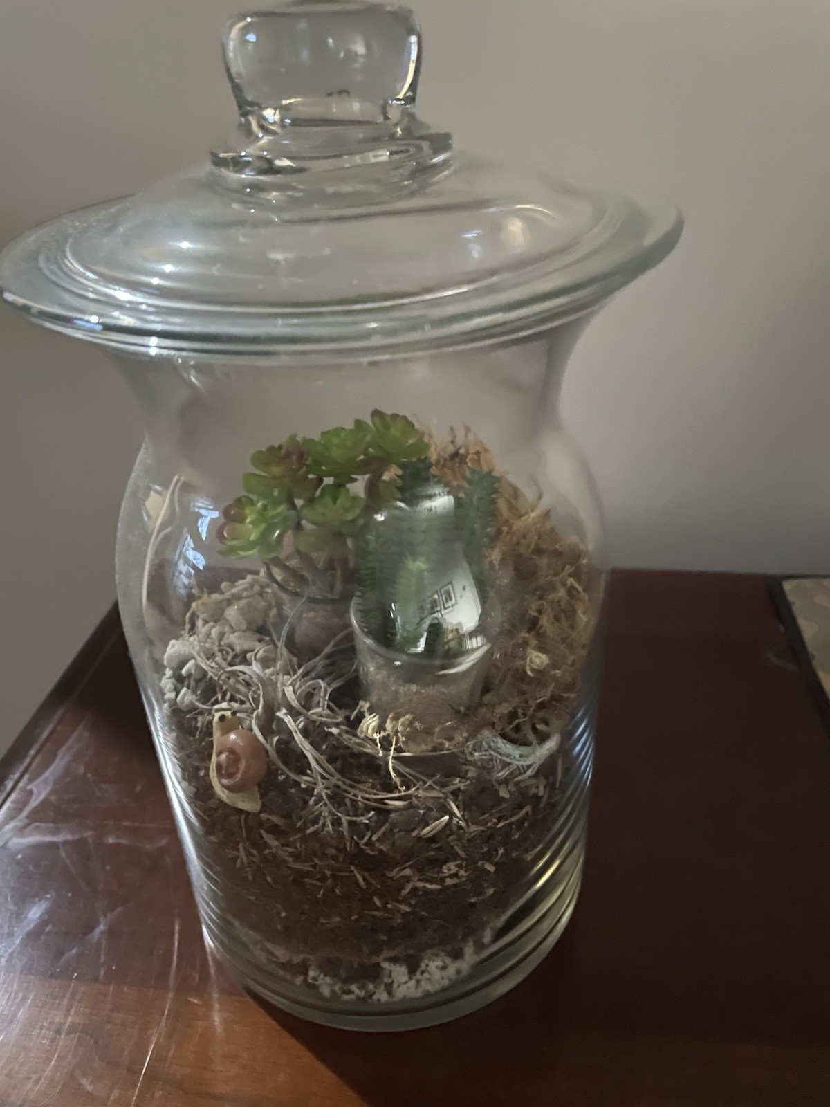 Artificial Terrarium, Self Contained Succulent Ecosystem In A Glass Container