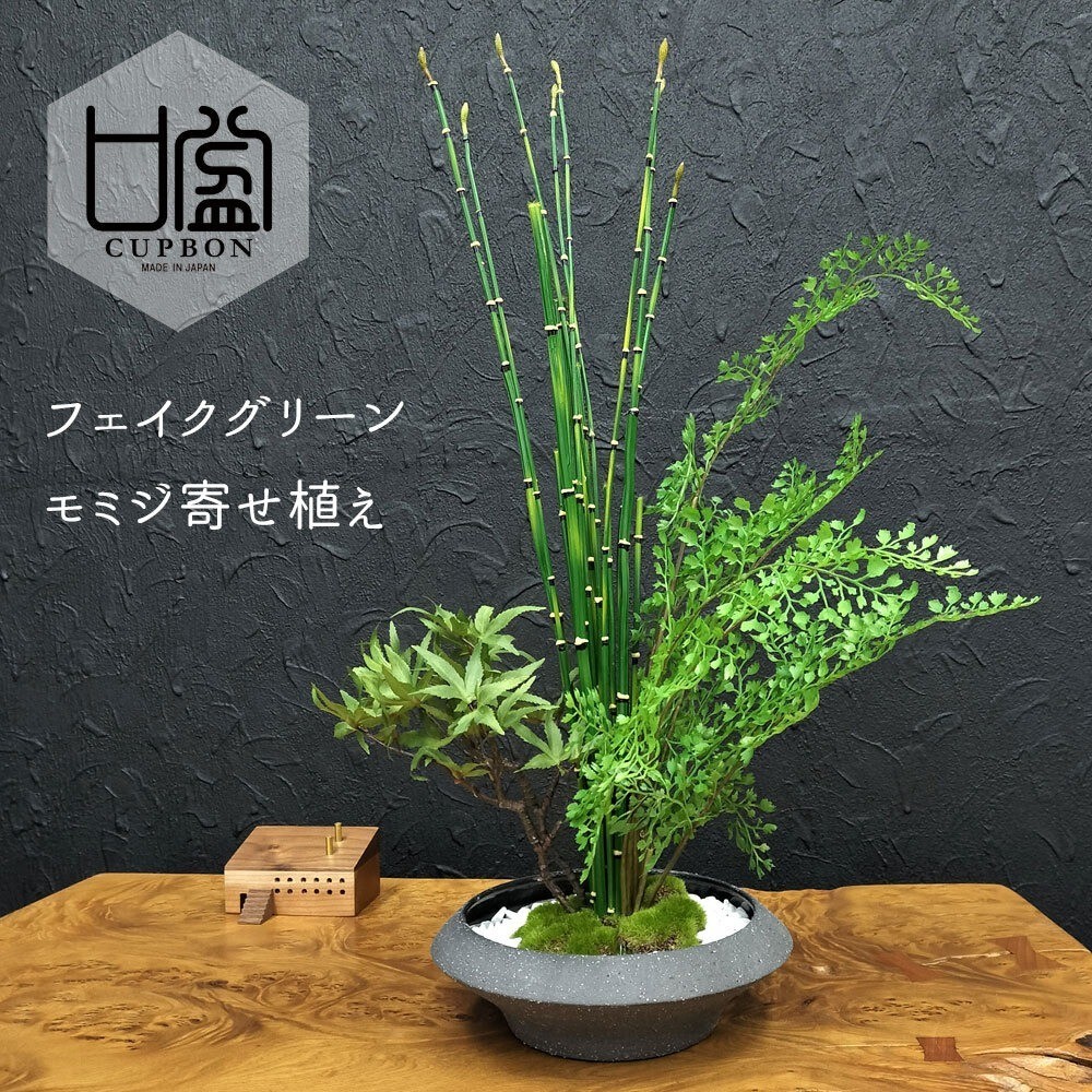 Artificial Japanese Bonsai Maple Adiantum Horsetail Plant CUPBON Made in Japan