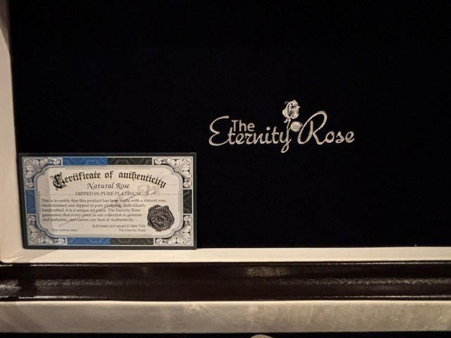 Eternal Rose Silver