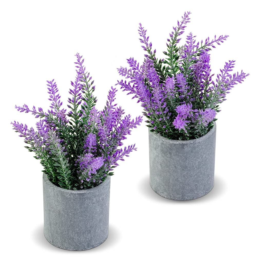 CADNLY Artificial Lavender Plant in Pots Faux Lavender Flowers Decor Fake