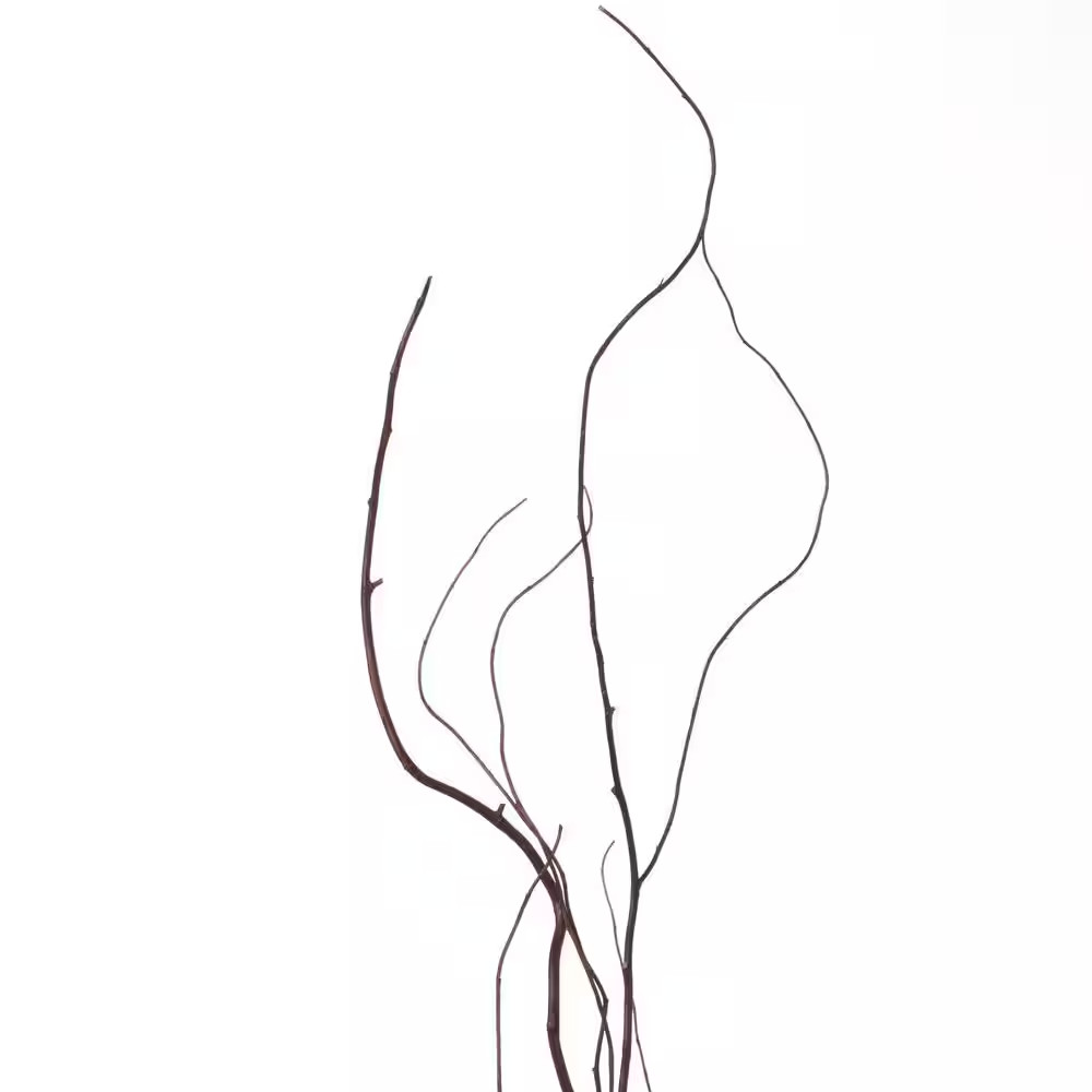 57 In. Brown Natural Dry Branches Authentic Willow Birch Sticks for Home Decorat