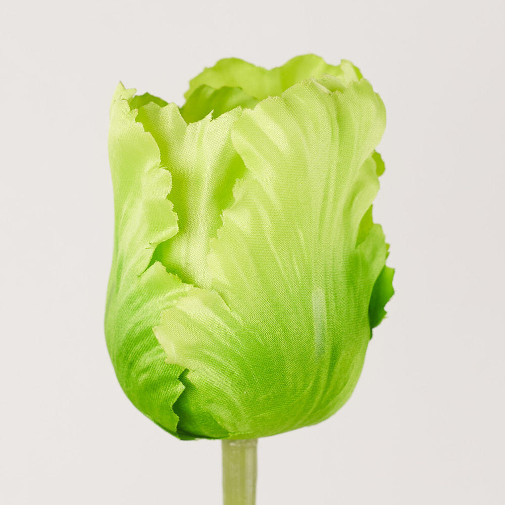Package of 6 Realistic Spring Faux Light Green Parrot Tulip Stems