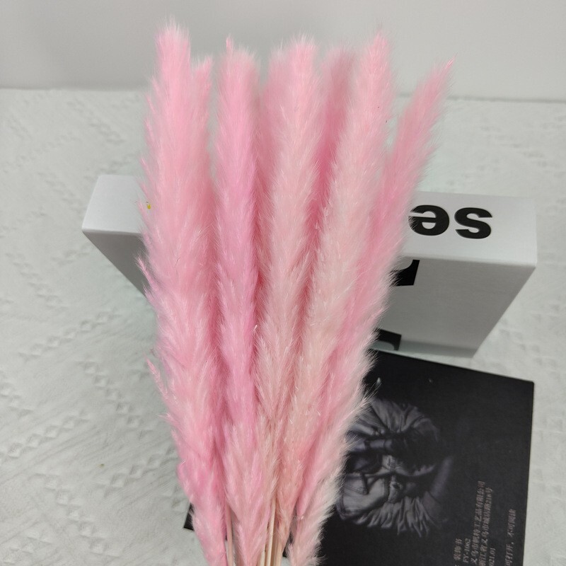 45PCS Natural Dried Pampas Grass 24 In. Reed Flower Wedding Bouquet Home Decors