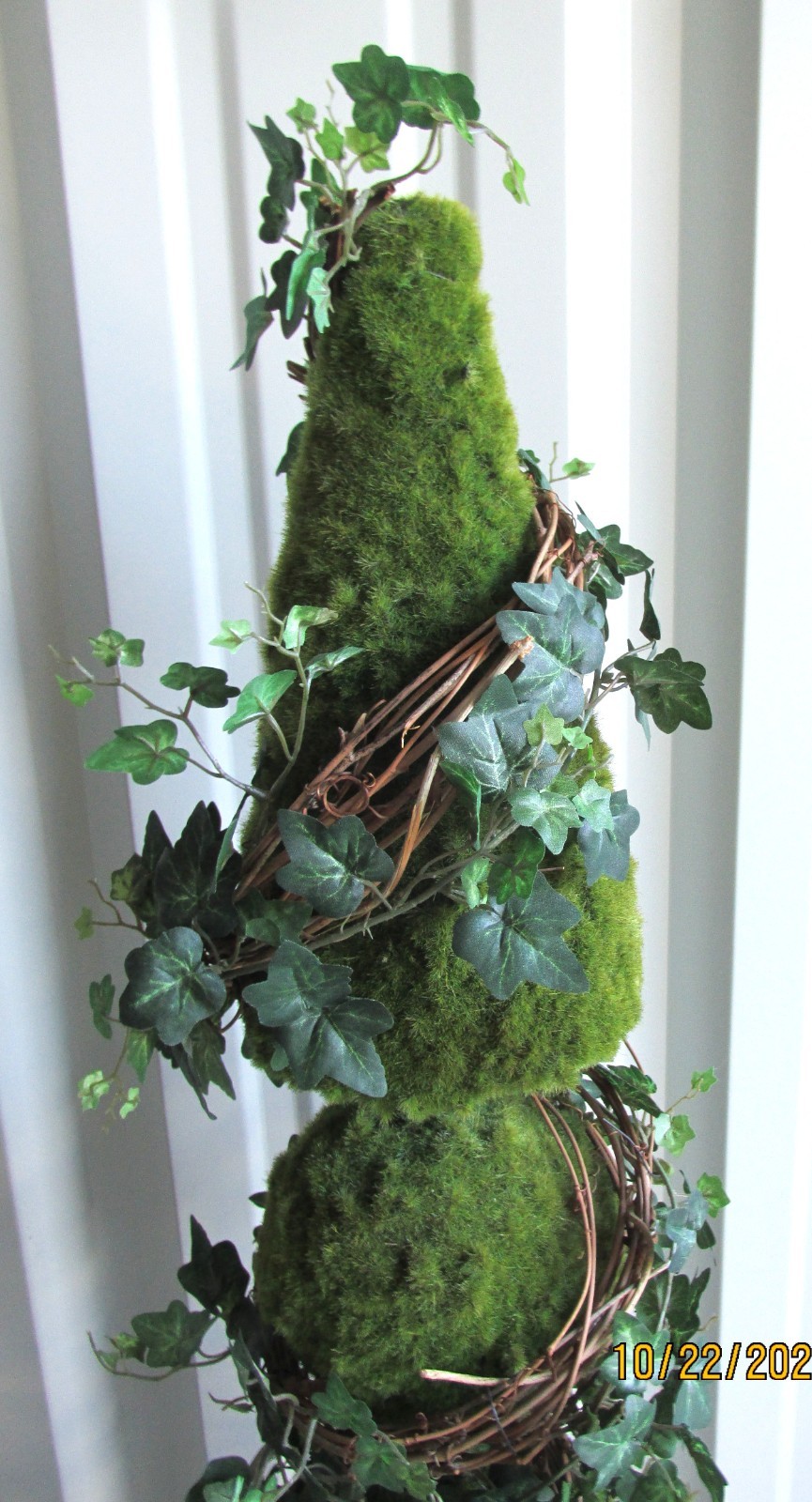 Topiary Spiral Ivy Tree Beautiful Pot 36 in tall
