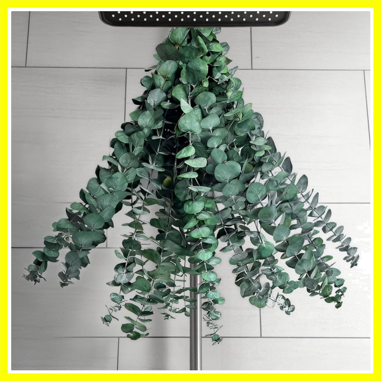 20 PCS Dried Eucalyptus Stems for Shower Hanging, 100% Made from Fresh Leaves…