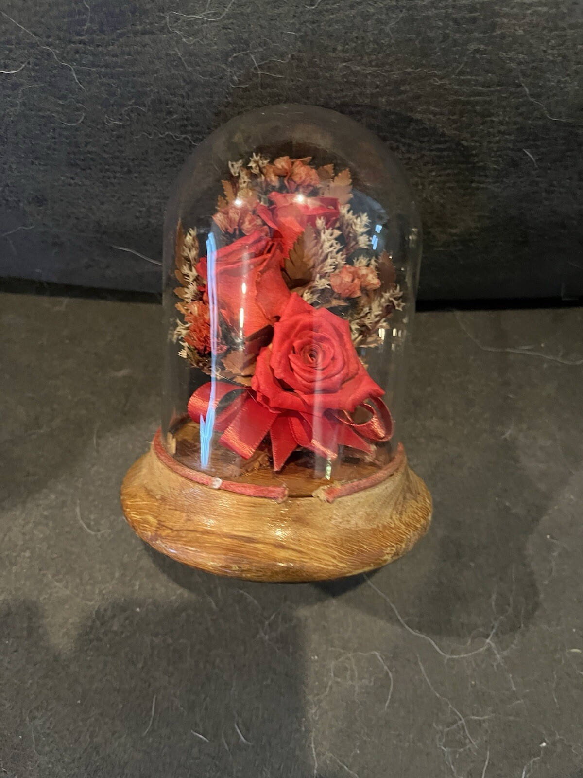 Roses Under Glass Dome Kk12