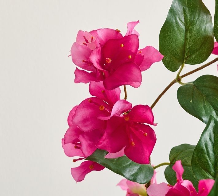 NEW Pottery Barn Faux Bougainvillea Flowers Bunch Bundle Stems Vase Decor NWT
