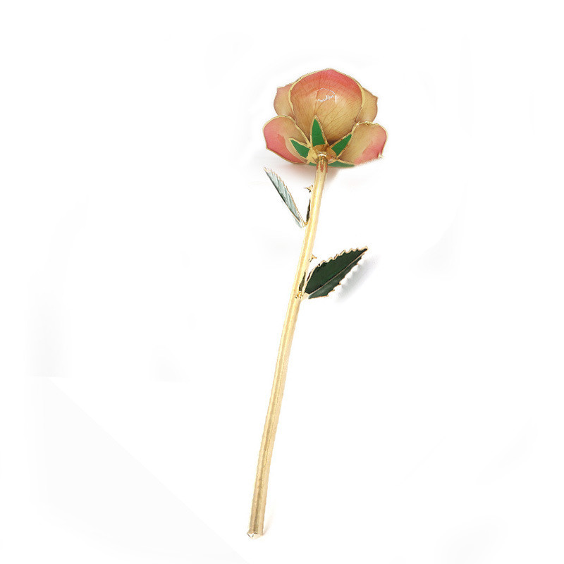 Daya- Forever real preserve rose dipped in gold 24k (Cream/Pink)