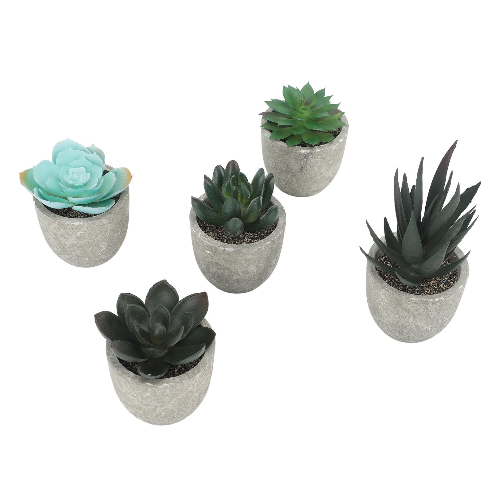 5 PCS Succulents Plants Artificial Mini Fake Pots Assorted Small Faux Decor