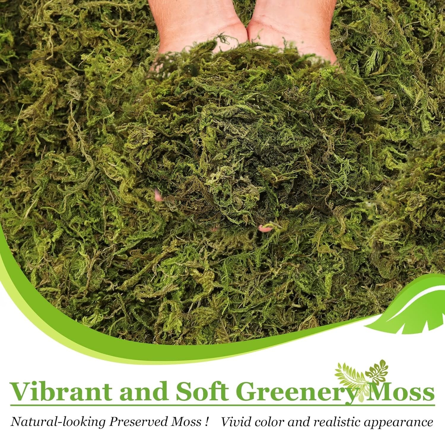 Soft and Textured 1.3LB Natural Moss for Fairy Gardens and Floral Displays