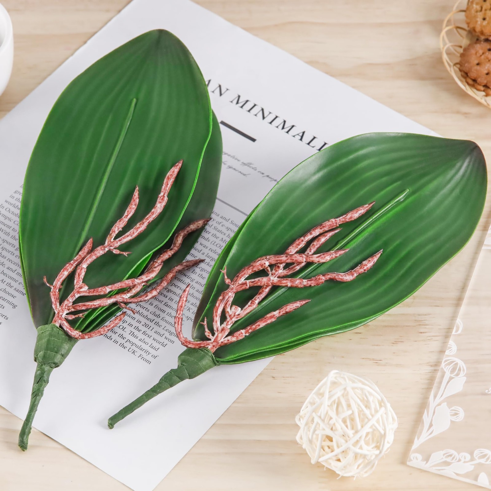 Phalaenopsis Orchid Leaves Fake Leaves Real Latex Touch Plants Arrangement
