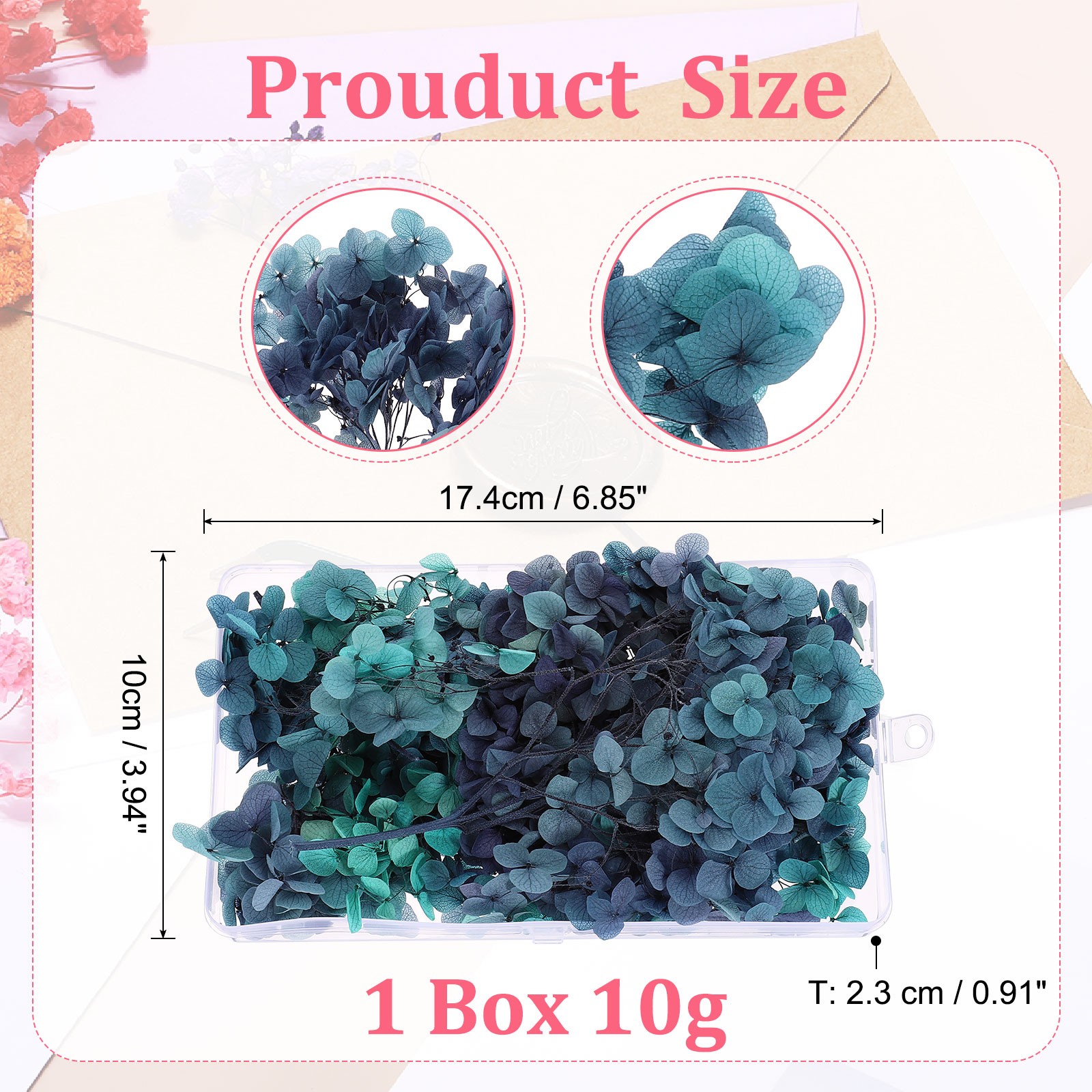 10g Mini Dried Hydrangea Flower Natural Pressed Flower Gradient Purple