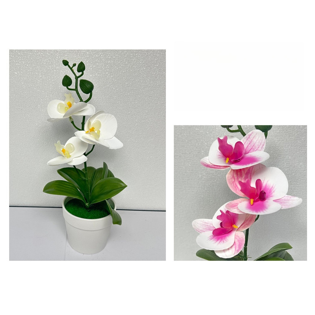 Modern Minimalist Phalaenopsis Orchid Bonsai Potted Plant for Tabletop Use