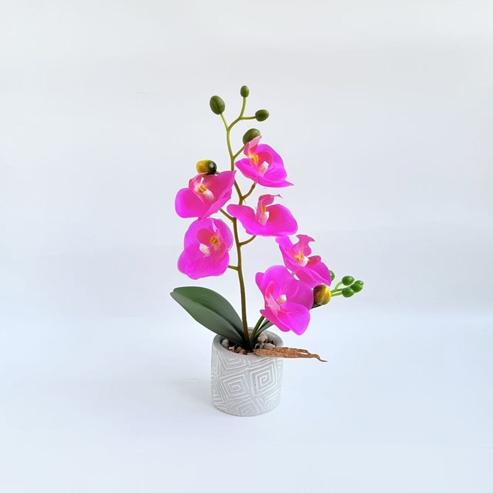 Fake Orchid Flower Plant in Cement Pot for Contemporary For Home Decoration