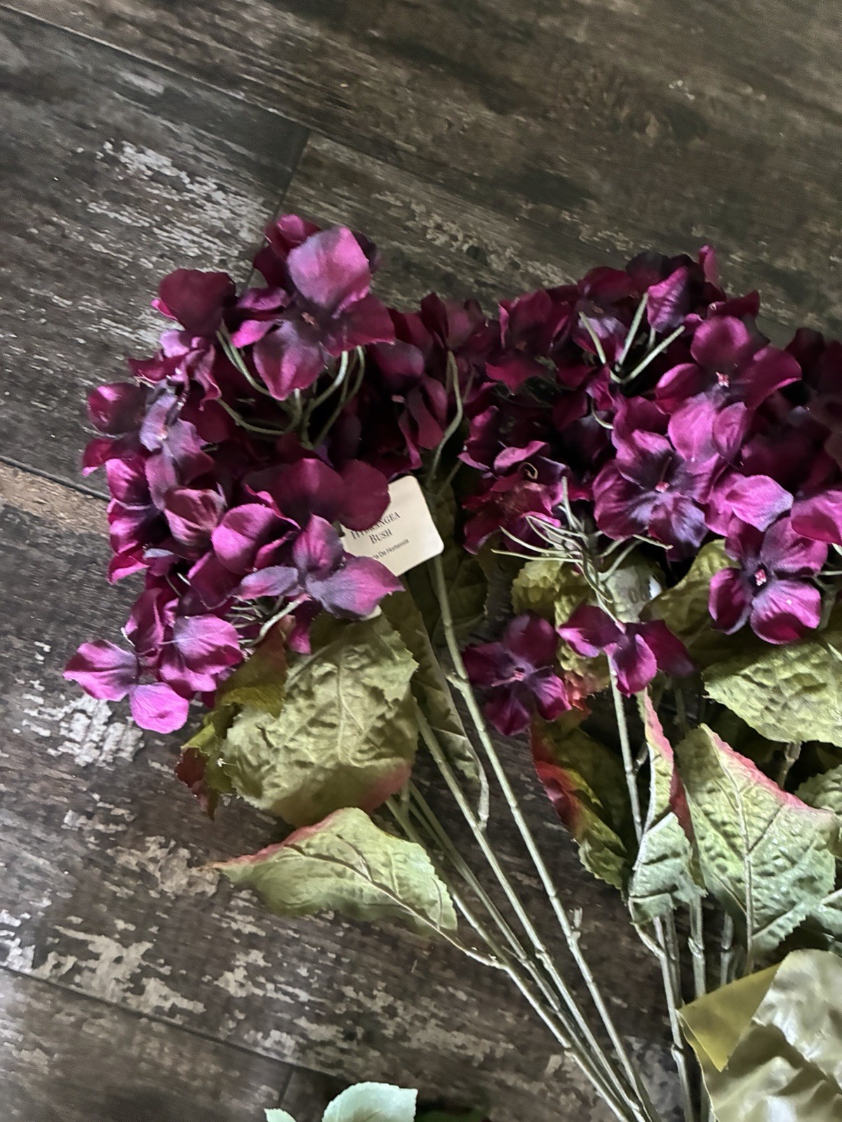 LOT OF DARK PURPLE HYDRANGEA ROSES