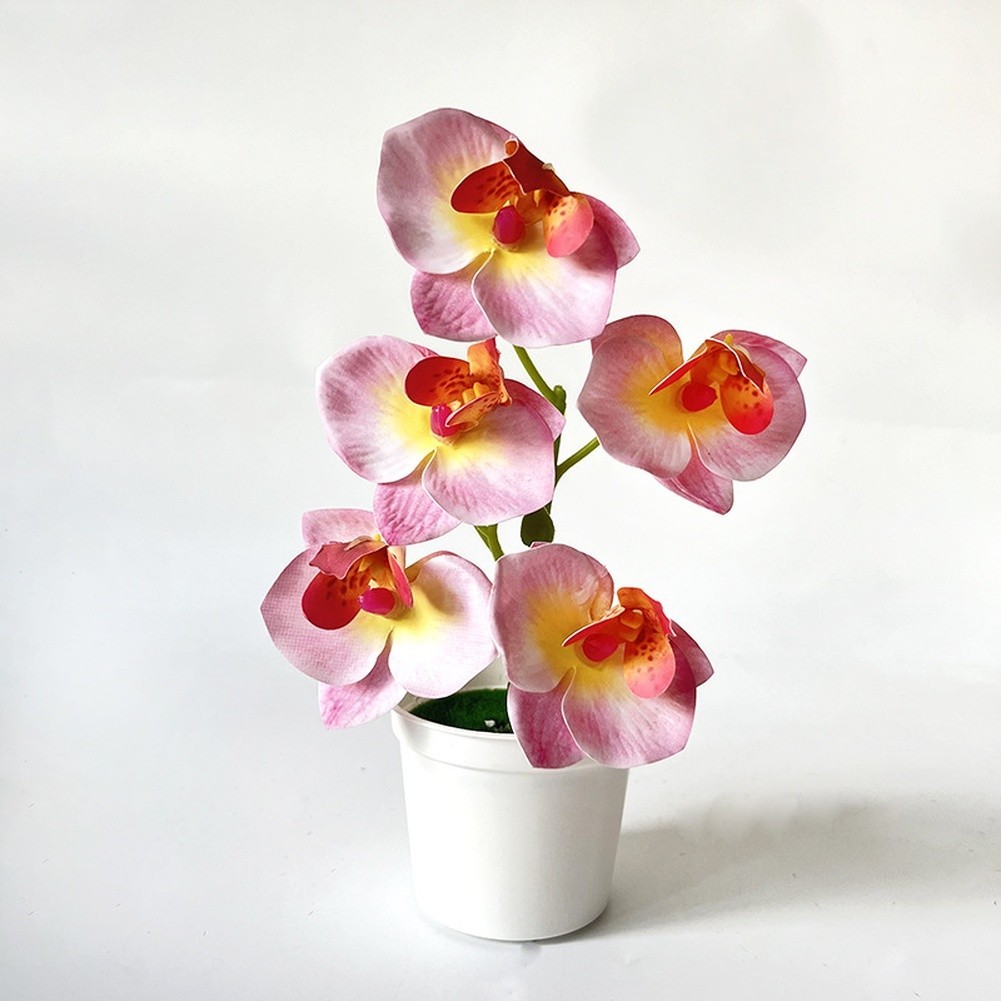 Artificial Orchid Flowers 5 Pcs 21cm Tall for Living Room Bedroom Office Decor