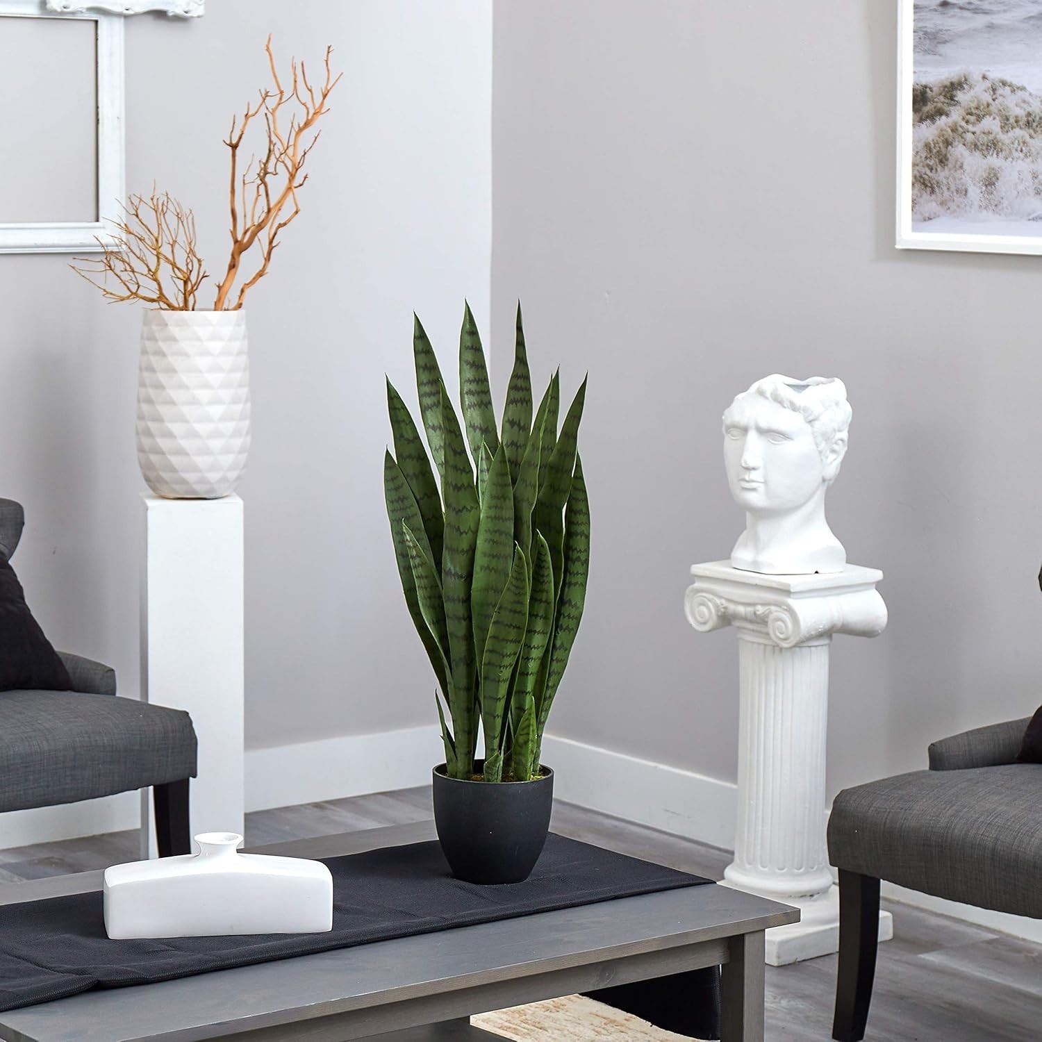 Versatile 35 Inch Sansevieria Plant for Home or Office – Black Planter Included