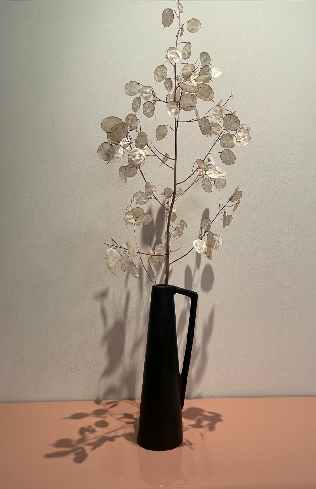 RARE DRIED LUNARIA MOONWORTH HONESTY SILVER DOLLAR PLANT WITH BLACK VASE