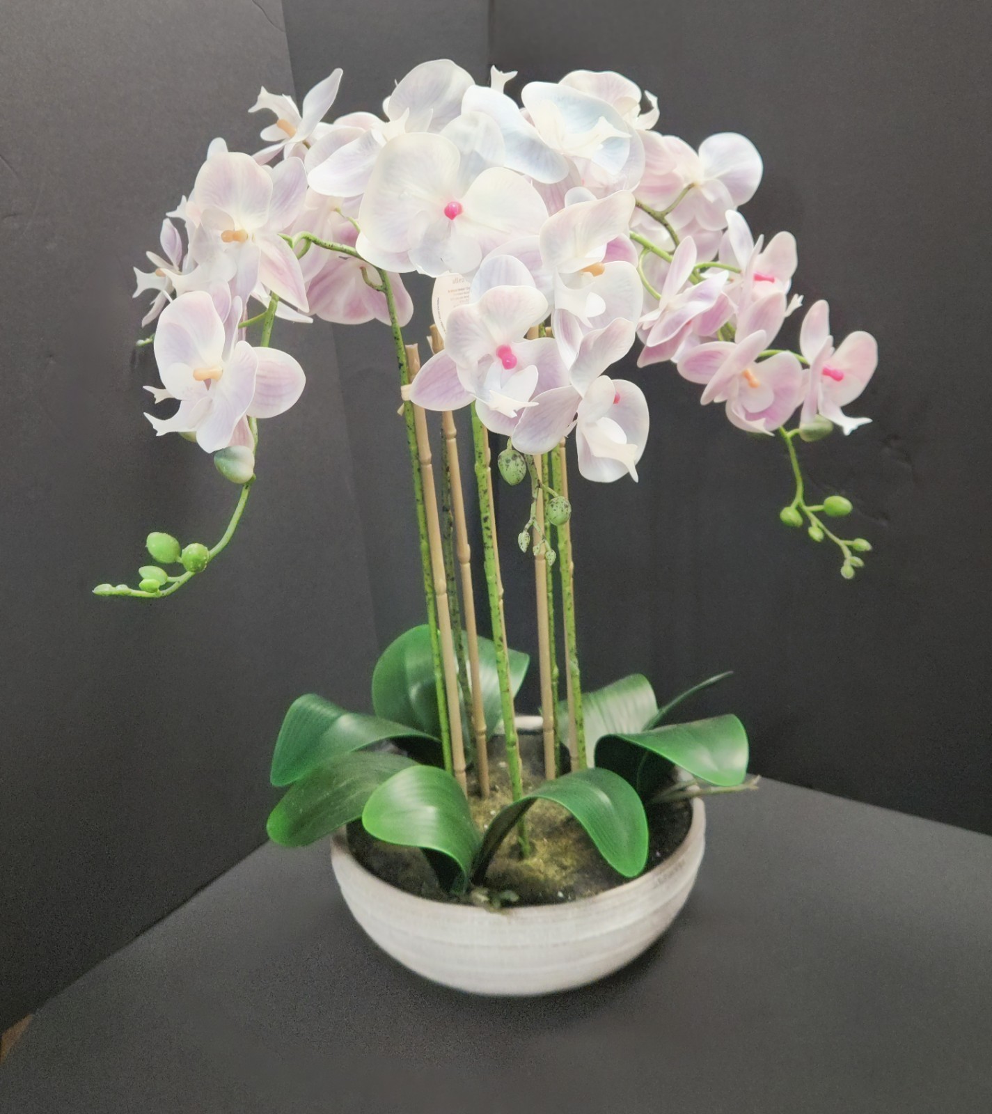 Allen + Roth Silk Artificial Orchid – New