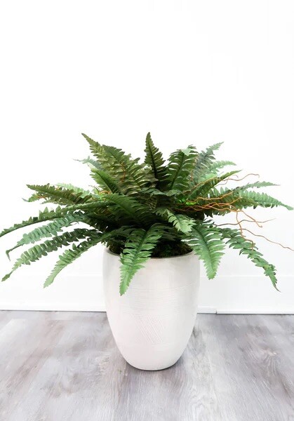 40” Boston Fern Artificial Bush Plant Pack 2 Home Decor. Retail $76