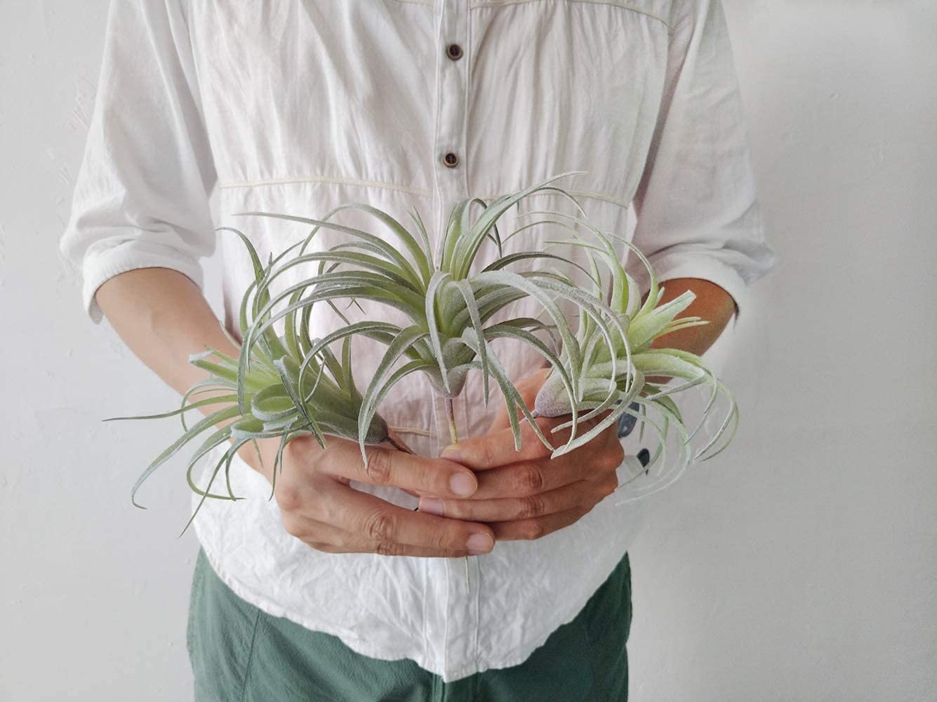3 PCS Artificial Air Plants Faux Succulents Unpotted Flocked Green DIY Decor