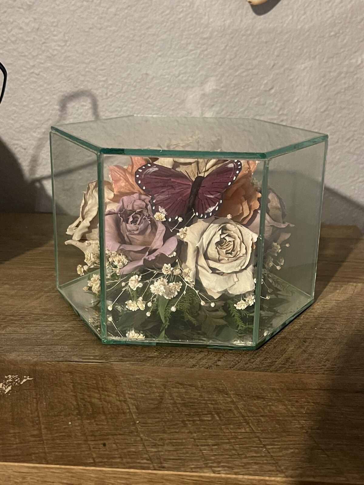 Vintage Freeze Dried Roses W/Butterfly In A Glass Display Case