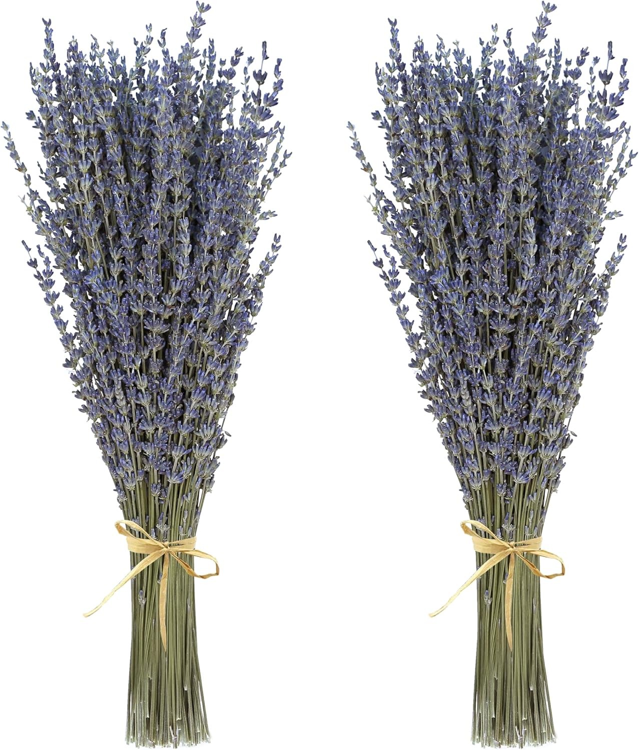 Dried Lavender Flowers 2 Bunches Natural Purple Bouquet 15-17 Inch 200-220 Stems